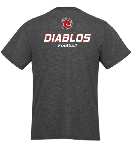 T-Shirt Valeurs Diablos Gris Cendré - ADULTE